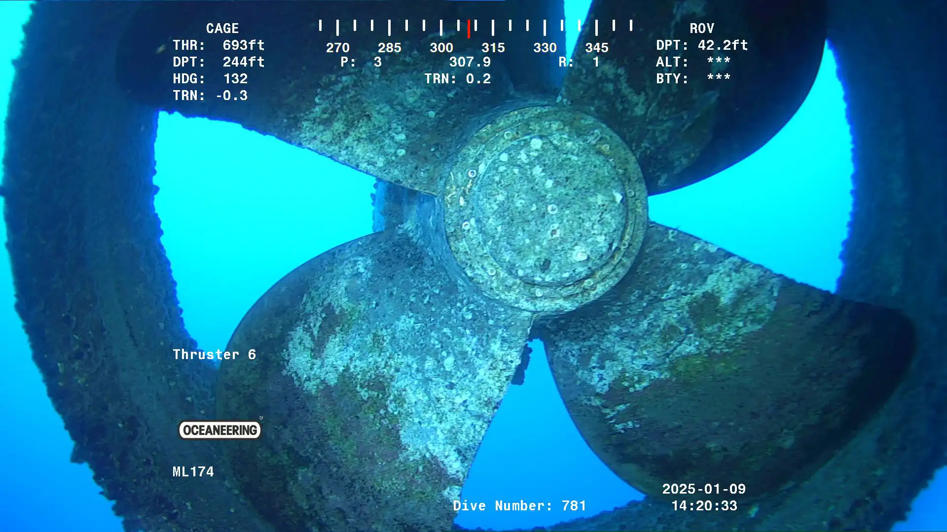 Ship propeller with marine growth covering the blades