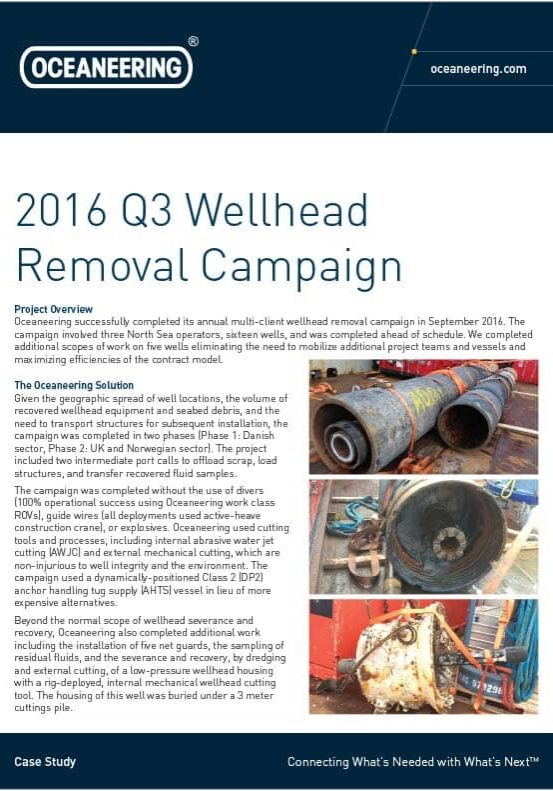 Case Study 2016 Q3 Wellhead Removal Campaign