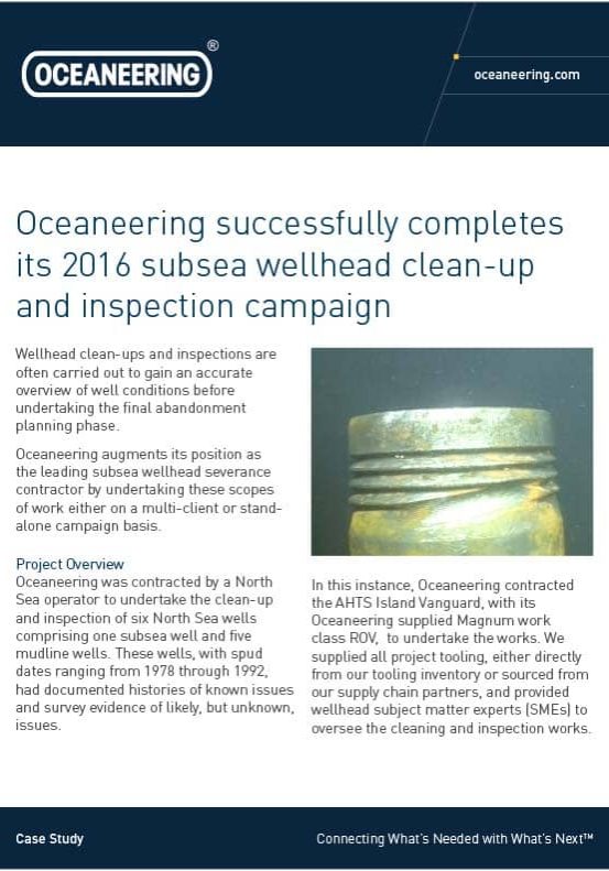Case Study Wellhead Clean Up and Inspection Campaign