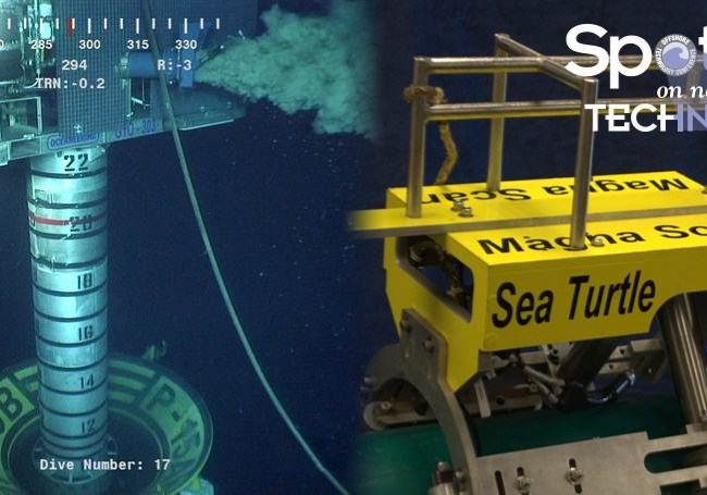 PĂĄgina web-Banner-OTC-Ganador-2 Website-Banner-OTC-Winner-2